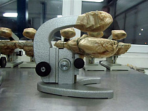 Таможня задержала коробки с медоборудованием 1960-1980 годов выпуска