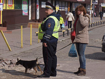 Почти 65% жителей Немана доверяют полицейским