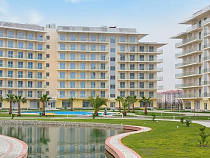 Талантливые школьники из Калининграда смогут обучаться в Сочи