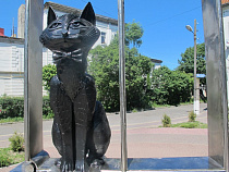 Под Калининградом  появился крымский кот