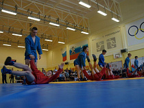 Алиханов и Нургалиев открыли в Калининграде школу самбо (фото)