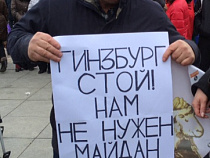Житель Янтарного приехал на митинг в Калининград с плакатом "Гинзбург, стой! Нам не нужен майдан"
