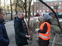 В Советске молодёжь подарила женщинам-дворникам цветы