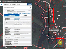 Администрация Зеленоградска не смогла забрать у СНТ «Тихое» 6,5 га земли у Школьного пруда