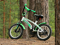 Полиция Калининграда разыскивает хозяин четырехколёсного велосипеда