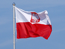 В Польше зафиксированы новые вспышки АЧС