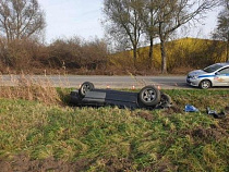 БМВ – в кювет, Мерседес – в дерево 