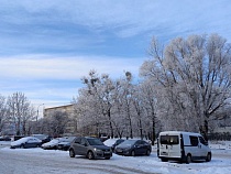 Дятлова экстренно обратилась к водителям