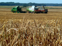 В 2017 году на агросектор региона предусмотрено 3 млрд. 464 млн рублей