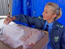 Китай продолжает заваливать курятиной Калининградскую область 