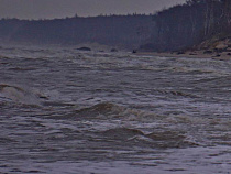 Шторм в Калининградской области: вода перекрыла Куршскую косу