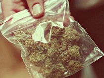 В Калининградской области спецотряд ГИБДД задержал пять человек по подозрению в хранении марихуаны