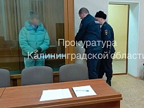 В Калининграде бабушку из Гусева судят за убийство внука после родов