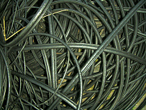 Четверо с кабелем не учли Росгвардию