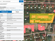 Администрация Калининграда разрешила фирме Вадима Шимко срубить деревья на улице Марата