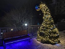 Власти Светлогорска игнорируют жалобы на грусть и грязь перед Новым годом