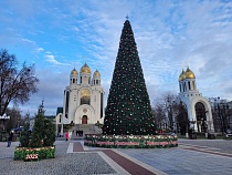 В Калининграде прямо на улицах начали ставить сербские ели