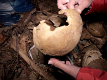 Под Калининградом обнаружен ящик с человеческими останками