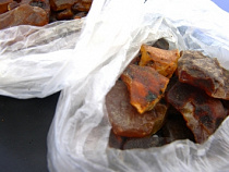 В Калининграде задержали 30 нелегальных добытчиков янтаря