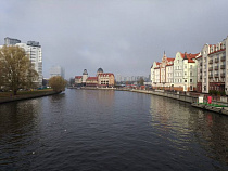 Турист из Костромы в Калининграде: «Ограниченный выбор, высокие цены»