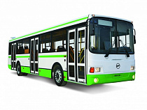 Мэру Калининграда придется определиться с транспортом