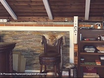 При обыске у директора Куршской косы нашли чучело рыси