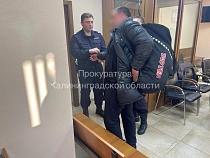 Житель Калининграда вымогал 0,5 млн у фитнес-клуба через видео в соцсетях