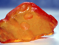 В День защитника Отечества в Калининградской области задержали 11 «черных» копателей янтаря