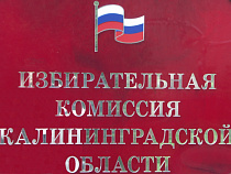 Выборы губернатора Калининградской области: лишь пять претендентов преодолели муниципальный фильтр