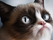 Жители Калининградской	области пожаловались на власть 44 тысячи 337 раз