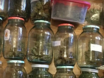 Спецназ ворвался в нарколабораторию в Калининграде (видео) 