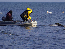 Спасение утопающих - дело рук добровольцев: в МЧС обучат волонтёров новым навыкам