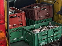 Под Калининградом на рыболовецком судне завелась банда 