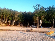 Власти назвали 8 мест в Калининградской области для отдыха с палатками 