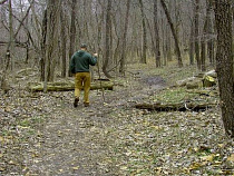 В Калининградской области могут внедрить аналог системы оповещения Amber Alert