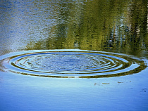 Купальный сезон: ГИМС обвинила муниципалитет под Калининградом в отсутствии на водоёмах запрещающих знаков