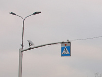 В посёлках вдоль шоссе Калининград - Нестеров установят уличное освещение