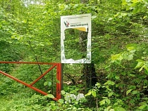 Вооружённые вандалы разрушают стенды в Виштынецком парке