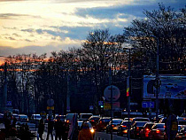 "Сакуры на площади Василевского захирели, клёны на Трибуца заболели"