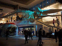 Музей Мирового океана вошел в ТОП-10 популярных музеев России в праздники