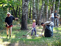 Более 50 калининградцев вышли на уборку леса вблизи побережья Балтийского моря