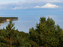 У высоты Эфа на косе нашли 112 снарядов времен Великой Отечественной войны