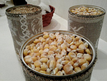 В Калининградской области достраивают элеватор на 40 тысяч тонн зерна