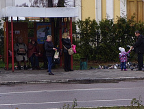 На замену автобусных остановок в Калининграде потратят 30 млн рублей