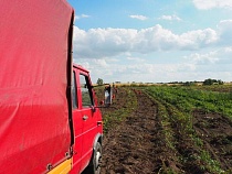 Чиновница объяснила, почему калининградские производители не могут снизить цены