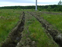  В Черняховском районе более 85 га сельхозугодий зарастали многолетней травой