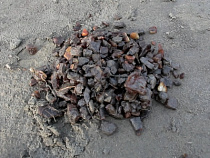 Калининградские полицейские задержали 17 человек за нелегальную добычу янтаря