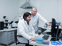 Учёные нашли способ лечения опухолей с помощью лейкоцитов