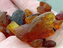 Калининградская область готовится к зверским выбросам янтаря