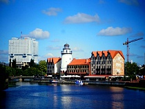 Прокуратура расскажет, кого проверят в 2017 году